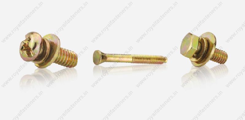 Customized Head Shape Screw