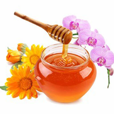Multi Floral Honey
