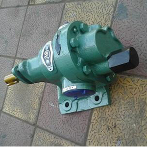 Heavy duty gear pump