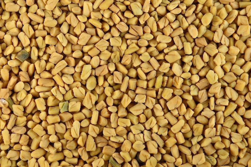 Organic Fenugreek Seeds, Certification : Spice Board of India, EIA, Plant Quarantine Station