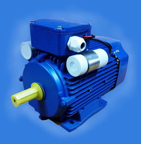 Single phase ac induction motor, Voltage : 230 volts ± 10%
