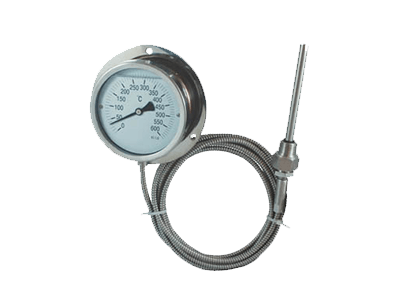 Thermometer Capillary Diaphragm Gauge at Best Price in Pune | Metro ...