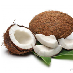 Coconut & Coconut Shell