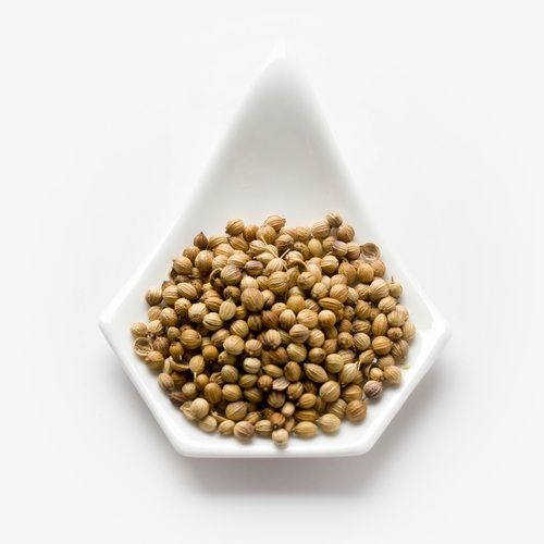 Coriander