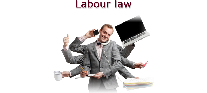 Labour Law Consultant Services