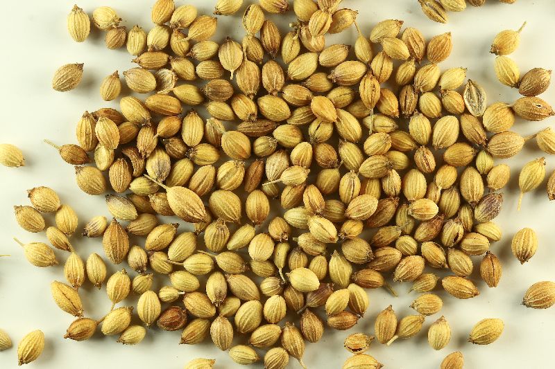 Coriander seeds