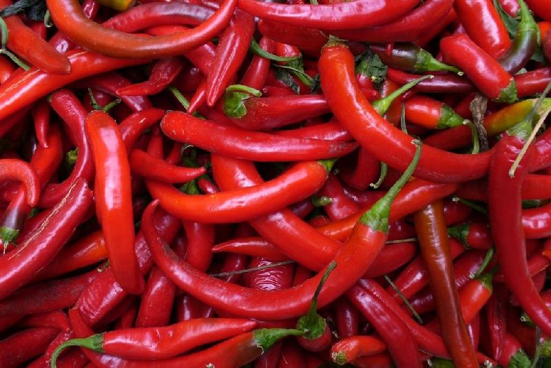 red chili