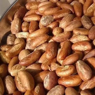 Bitter Kola Nuts