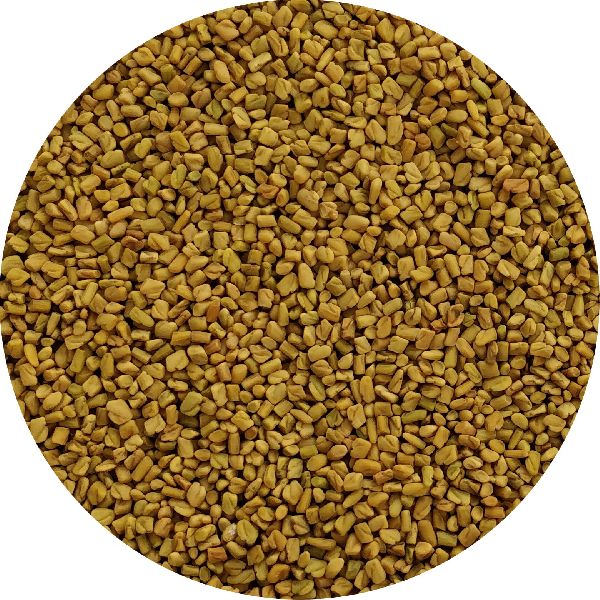 fenugreek