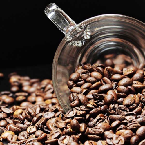 Custom Roasted Coffee Manufacturer in Nevada United States by Global