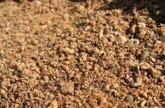 Cotton Seed Meal