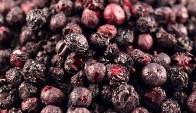 Freeze Dried Blue Berry