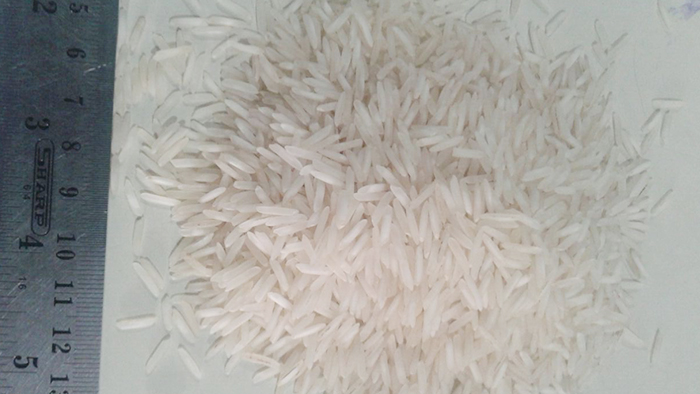 Best Quality Rice