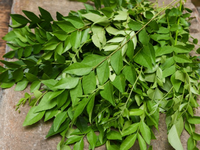 Common curry leaves