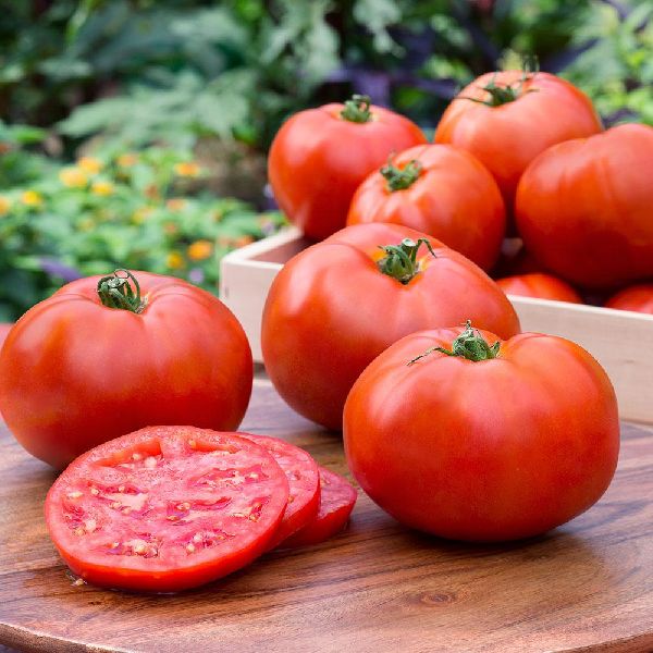 Fresh Tomato, Color : Red