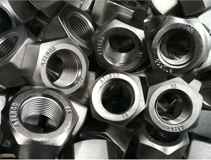 Alloy Steel Fastener