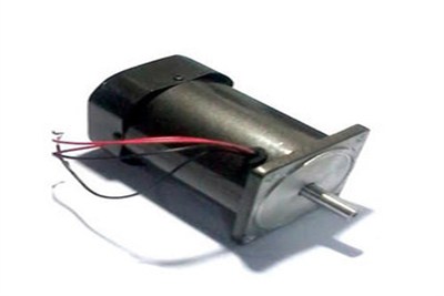 Round Induction Motor