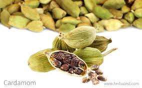 cardamom