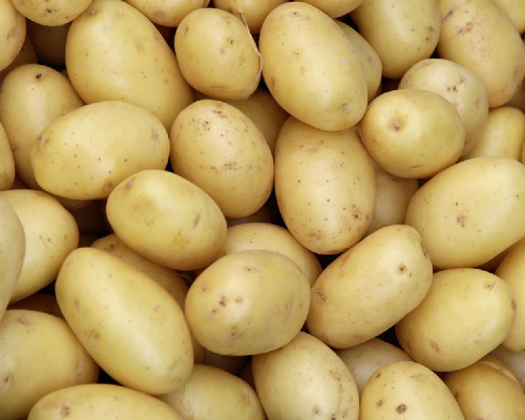 baby potato