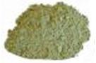 Indian Echinacea herb powder