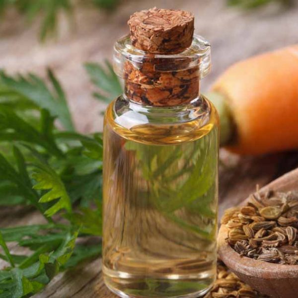 Carrot Seed Oil