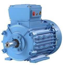 Low Voltage General Performance Motor