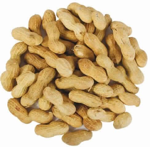 Shell Groundnuts