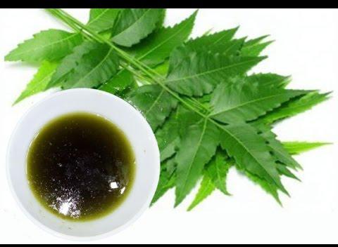 Herbal Neem Oil