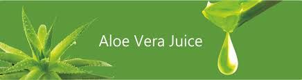 Aloe Vera Juice, Packaging Type : Bottle