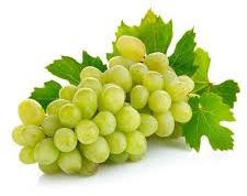 Natural fresh green grapes, Shelf Life : 5-7days