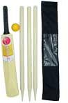 Cricket Sets Wooden, Color : Customized Color