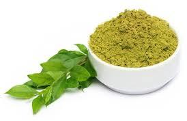 Organic Henna Powder, for Parlour, Color : Green