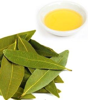 Bay Oil, Feature : Antioxidant, Low Cholestrol