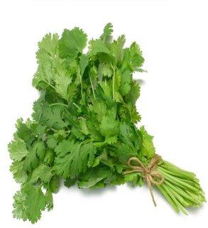 Coriander Oil