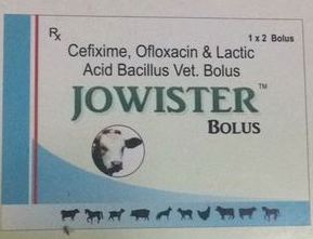 Jowister Bolus, for Useful animal digestive system, Packaging Type : Box
