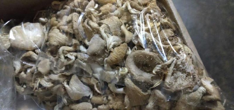 Light Beige Natural Oyster Dry Mushroom Vacuum-sealed