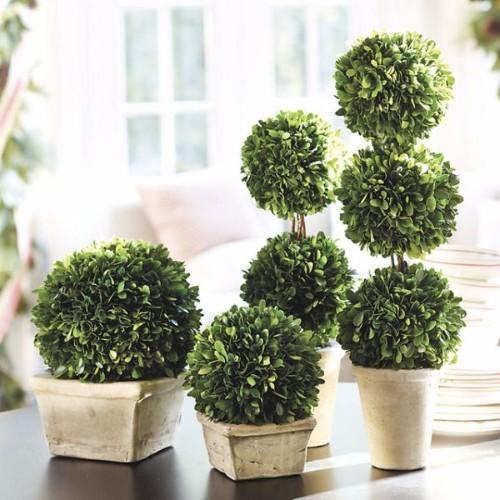 Coated Plastic Topiary Bonsai Artificial Tree, Size : Multisizes