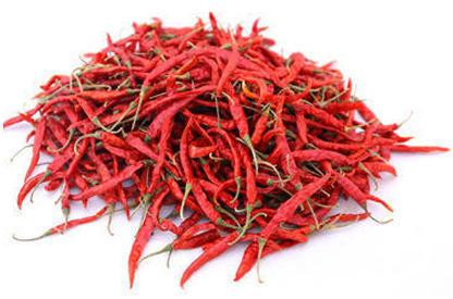 Organic Teja Dried Red Chilli, Packaging Type : Gunny Bags, Jute Bag, Pp Bag
