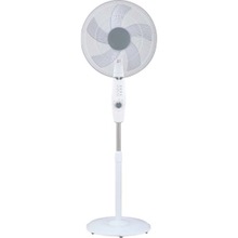 INDIAN STYLE STAND FAN WITH GURANTEE, Model Number : KFS-40-335