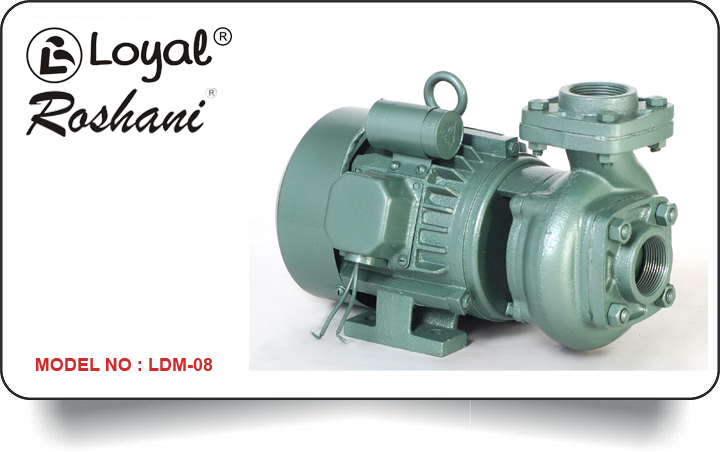 LDM 08 Centrifugal Monoblock Pump