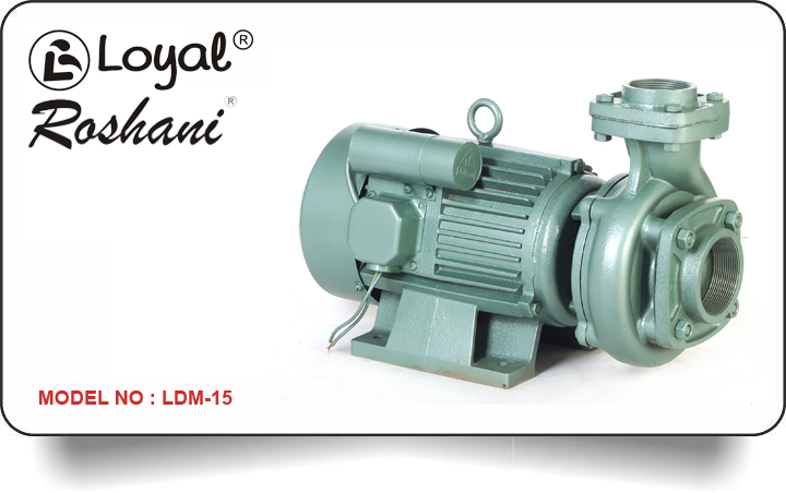 LDM 15 Centrifugal Monoblock Pump