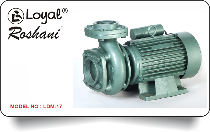 LDM 17 Centrifugal Monoblock Pump