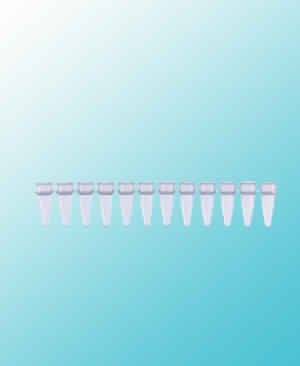 STRIP TUBES WITHOUT CAP -8 STRIPS AND 12 STRIPS, PP