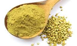 coriander powder