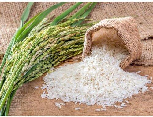 Hard Organic Indian White Basmati Rice, Variety : Long Grain