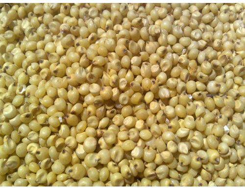 Pure Natural Jowar Seeds