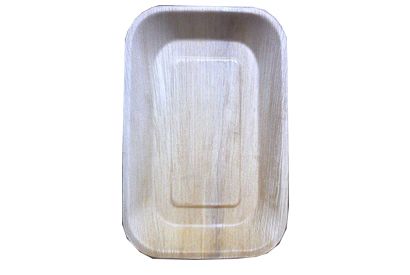 9-6 Inch Rectangle Disposable Plate