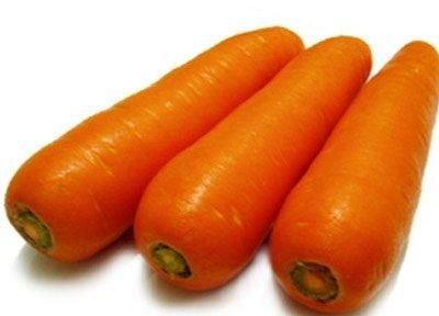 Good Quality Fresh Carrot / New Crop Fresh Carrot Supplier