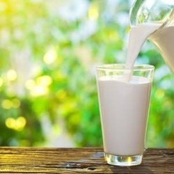 Desi Cow Milk, for Restaurant, Home Purpose, Pantry, Form : Liquid