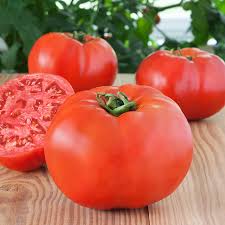 Organic Hybrid Tomato, Color : Red